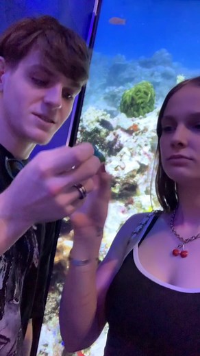 Explore the Amazing Atlanta Aquarium Experience