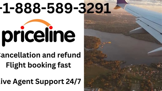 How to Contact Customer Service At {Priceline} (Quick Tutorial)