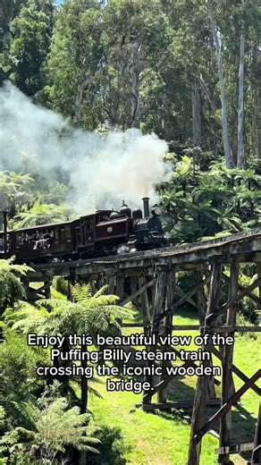 Puffing Billy: Scenic Vintage Steam Train Experience
