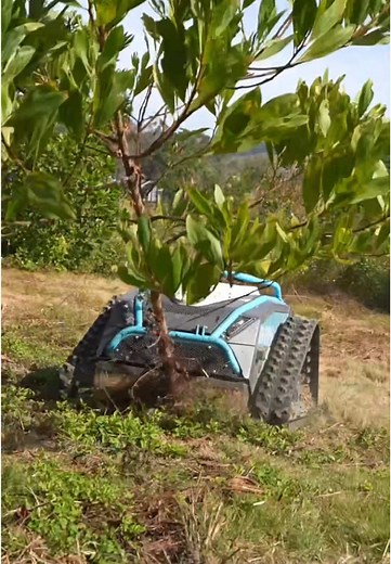 KOHAM lawnmowers easily cuts down small trees with a diameter 5 cm.#lawnmower #electricmower #remotecontrollawnmower #kohammower