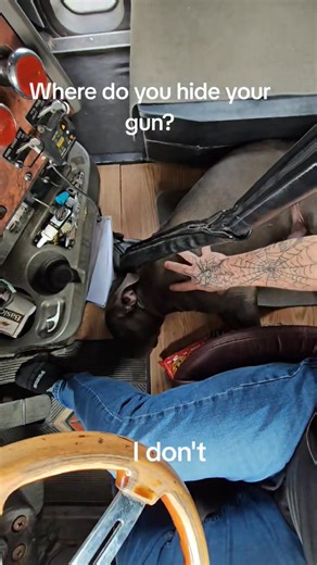 My break-in deterrent system does hump my pillow periodically 🤷🏼‍♂️ | Car Ramrod