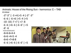 practicing: The Animals - House of the Rising Sun - C harmonica - TAB - A minor