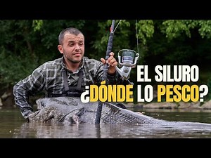 How to locate catfish - Ribera Fishing