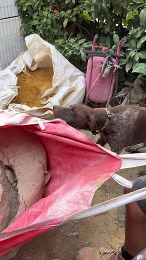 Helpful GSP Pointer: Tips and Tricks