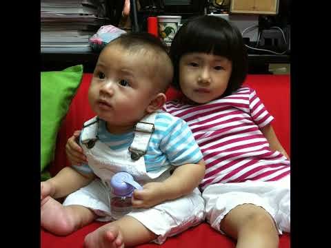 260329 Semifinal- Venom Havoc vs KW Preds Altius