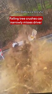 2.3M views · 15K reactions | A lucky driver walked away after a dead tree fell on her SUV and crushed it as she was stopped in traffic in a Philadelphia suburb on Monday. She was taken to a hospital with injuries following the incident. #news #philly #philadelphia | CBS News | Facebook