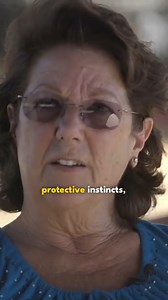 European vs. American Doberman #shorts #doglovers #Doberman #europeandoberman #dogbreeds | Dogumentary TV