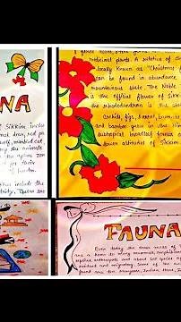 Flora and Fauna of Sikkim and Delhi| Project file in English| Art integrated activity| Class 9&10