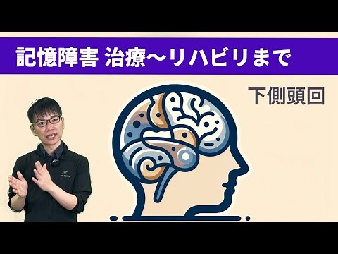 【☑︎記憶障害 治療】下側頭回 機能 リハビリ/聴覚失認/視覚失認/腹側経路what経路/側頭葉【第13回】
