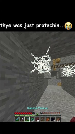 They Was Just Protecting... 🥀 #minecraft