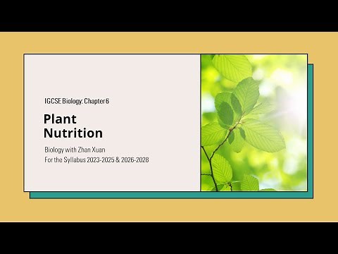 IGCSE Biology - Chapter 6 | Plant Nutrition