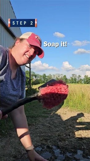 How to Clean Your Horse's Water Trough