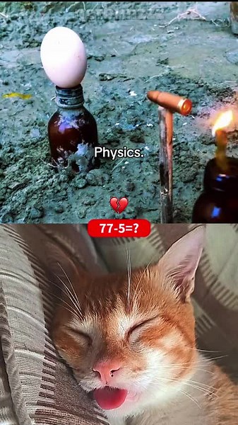 Lighting a Bullet #cat #physics #bullet #fyppppppppppppppppppppppp