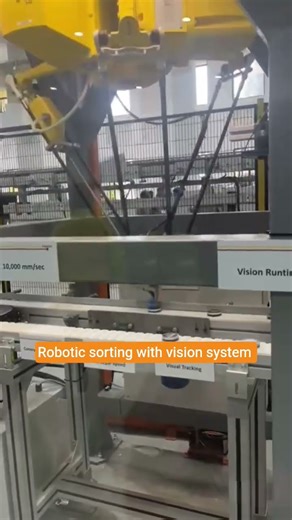 robotic sorting with vision system #robotics #visionsystem