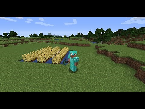 Minecraft || how to grow wheat in minecraft