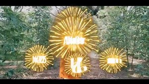 8.2K views · 465 reactions | Kota isiin egaa jira | Tokkumma Tmn | Facebook