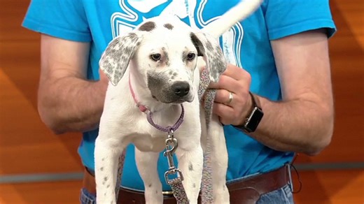 Pet of the day: Brielle