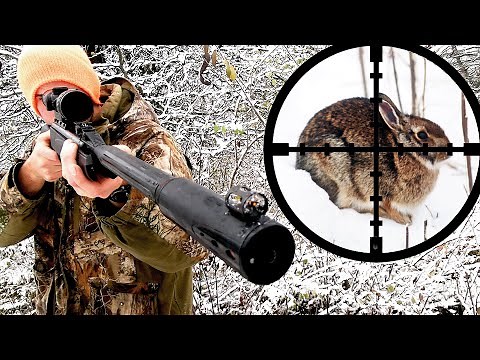 Rabbit Hunting with Gamo Air Rifle! (Scope Cam)