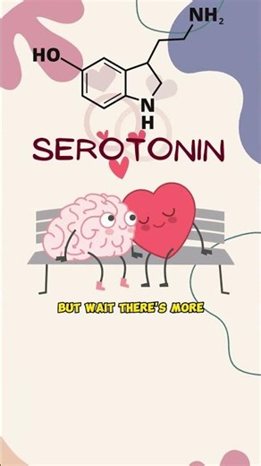 What Happens In Your Brain When You Fall In Love? | The Science of Love