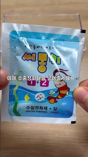 씨몽키 키우기🦐#씨몽키 #바다낚시 #새우키우기 #다이소 #다이소깡 #리즘아제발 #리즘아사랑해 #관리자님잘생겼어요 #관리자님이거추천어때요 #구독과좋아요