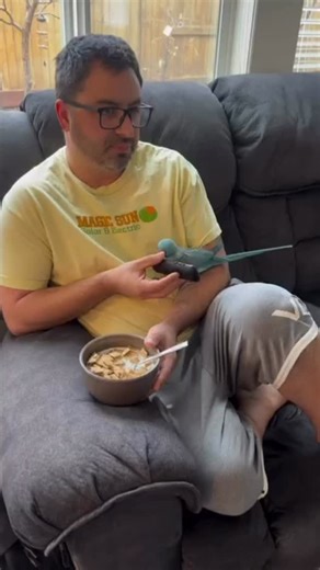 1.3K views · 408 reactions | Enjoying breakfast time with BirdyDaddy 倫 #indianringneck #parrot #bird #prettybird #parrotsofinstagram #featherbaby #birdphotography #blu #birdlover #birdstagram #pet #talkingparrot #breakfast #cereal | The Blu Bird | Facebook