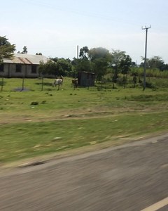 1K views · 38 reactions | Way back to Nairobi with @kokomohvictor and @gordon_ogada | Onyulo TV | Facebook