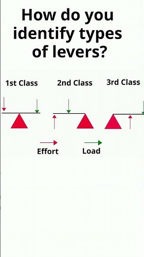 Identify types of Levers #shorts