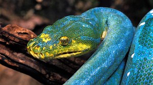 Python Code: Die besten Profiler