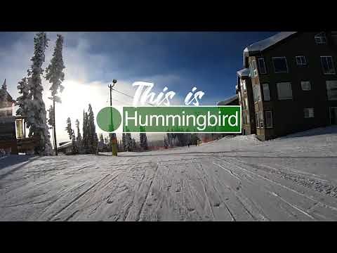 This is Hummingbird POV at Big White Ski Resort (4k)