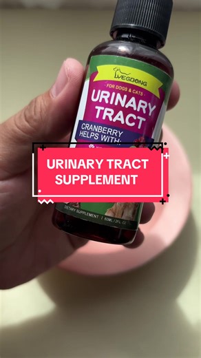 Natural UTI Care for Pets: Cranberry Extract Remedies