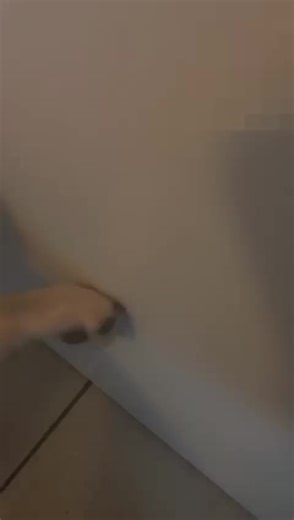 Junge Gebrauchte Autos im KFZ-Handel