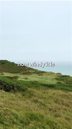 frolic with me pt.3 ✨ #england #englishcountryside #englandvlog #solotravel #aestheticvlog #hiking