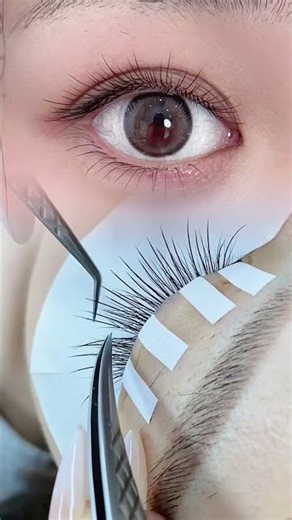 Professional Lash Extension Tutorial | Natural Volume Eyelash Mapping 👁️✨💖