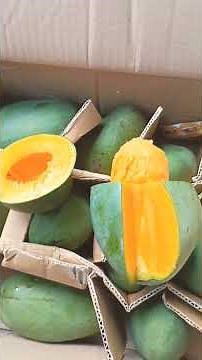 Super mango harvest in Indonesian traditional markets