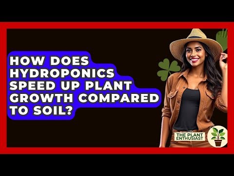 How Does Hydroponics Speed Up Plant Growth Compared To Soil? - The Plant Enthusiast