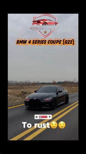 Rising From The Ashes: BMW 4 Series Custom Build! 👿✨