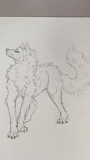Wolf Drawing Tutorial: How to Draw a Wolf Pose Step by Step