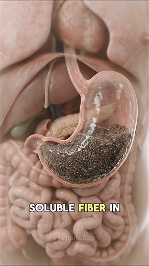 This Tiny Seed Can Change Your Body 🤯 #chiaseeds #healthtips#weightloss #fitness #superfoods #facts