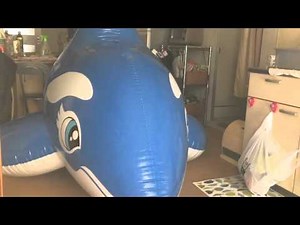 inflatable whale blow up pop?