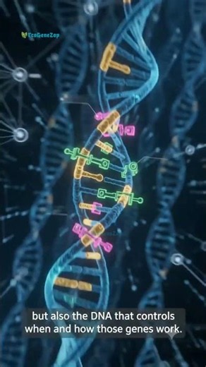 🧬 What Is a Genome? | The Complete DNA Blueprint Explained in 30 Seconds! #Shorts #dna