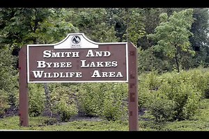 File:Oregon's Native Turtles.ogv - Wikimedia Commons