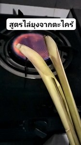 1.6M views · 10K reactions | สตรไล่ยุงจากตะไคร้ #creator #ครีเอเตอร์ #ครีเอเตอร์สร้างรายได้ #diy #howto #เคล็ดลับ #ทริคดีบอกต่อ #reuse #recycle #tips | Thinnapob Khunheet | Facebook