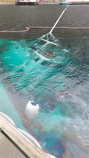 #ocean #boatlife #ship