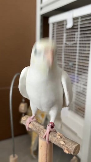 3.11.25 https://www.24newsall.com/top-5-pc-cases-for-style-and-functionality-in-2025/ | នឹក