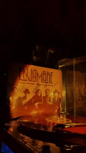 Enjambre - Tulipanes: Letra, Vinilo, y Video Musical
