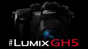 4K Preview of the Panasonic GH5's Noise and In-Camera Stabilization
