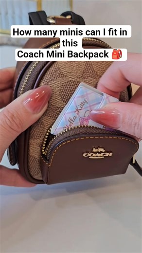 It fits so much!!! #minibag #whatsinmybag #mini