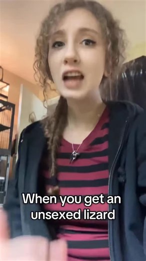 Spawn was the first skink I ever owned; her first owner told me she was wild caught as an adult, and I had no idea of her actual age. She was a spicy one; always food motivated to the point where if a spec of dust moved she would lunge. She passed earlier this year and I was devastated, but she gave me a few scars from latching on the my flesh and rolling around. It’s funny how I look back at those scars now and smile, remembering her spicy little personality. I now have a different skink specie