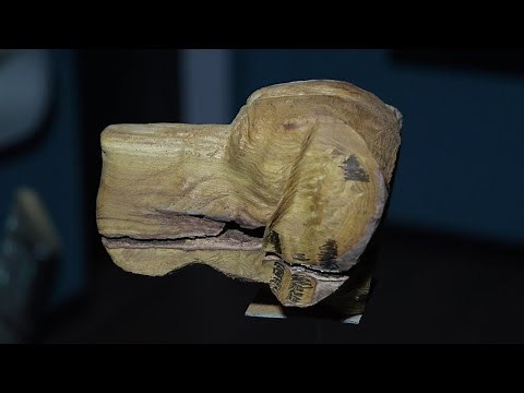 Watch Me Carve a Realistic Dog from Wood – Live Sculpting 🐶