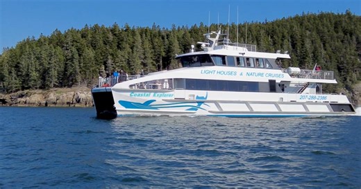 Maine boat cruise offers up-close tours of nature and wildlife